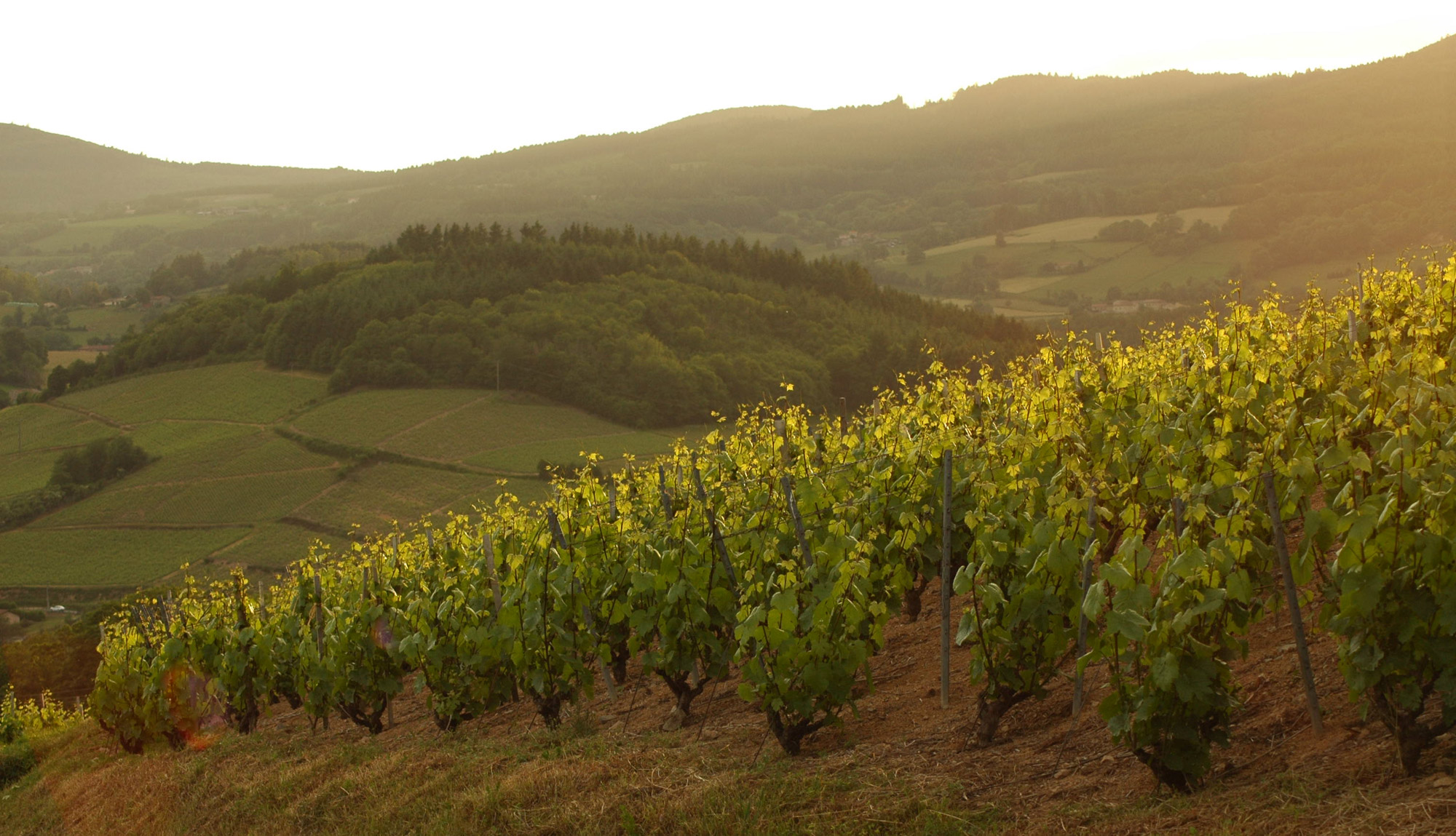 frankrijk vakantiehuis